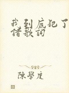 我到底犯了什么错歌词