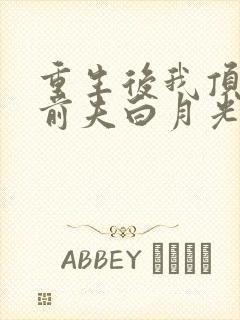 重生后我顶替了前夫白月光l