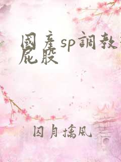 国产sp调教打屁股