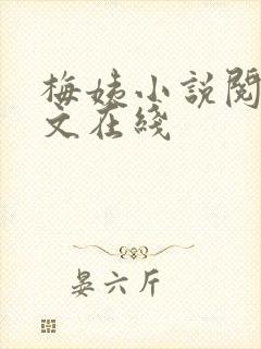 梅姨小说阅读全文在线