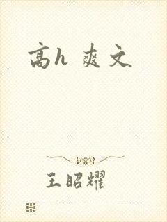 高h 爽文