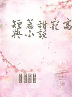 短篇甜宠高肉经典小说