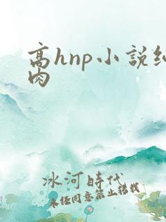 高hnp小说纯肉