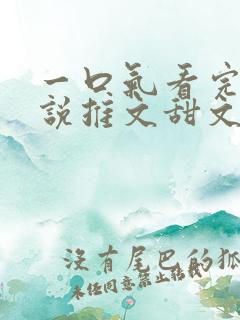 一口气看完的小说推文甜文