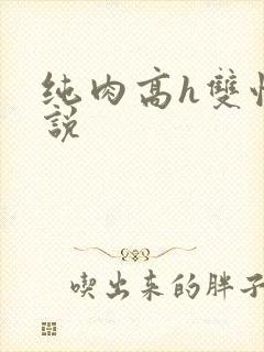 纯肉高h双性小说