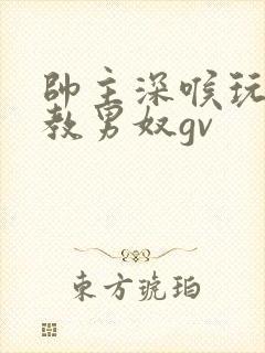 帅主深喉玩奴调教男奴gv