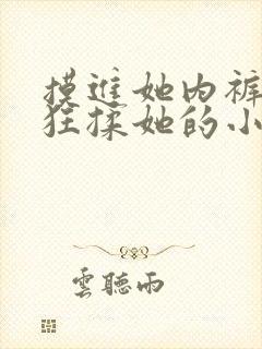 摸进她内裤里疯狂揉她的小说