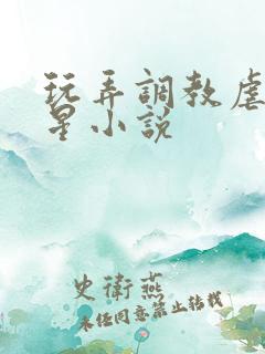 玩弄调教虐女明星小说