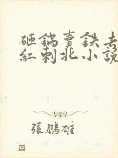 砸锅卖铁去上学红刺北小说