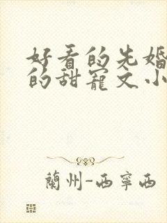 好看的先婚后爱的甜宠文小说