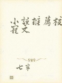 小说推荐校园甜宠文