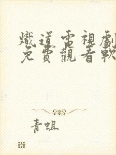 炽道电视剧全集免费观看软件