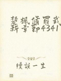 楚枫修罗武神最新章节4341