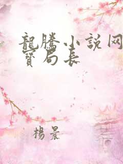 龙腾小说网 三宝局长