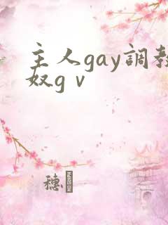 主人gay调教奴gⅴ