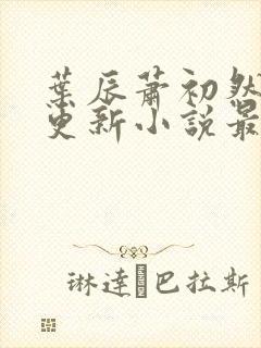 叶辰萧初然最快更新小说最新章节