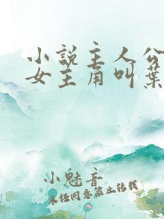 小说主人公林凡女主角叫叶惜