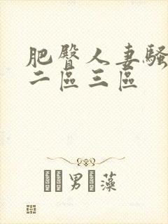 肥臀人妻骚一区二区三区