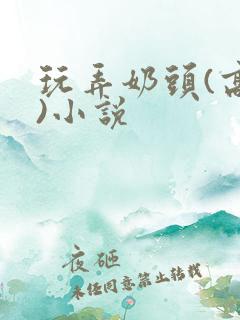 玩弄奶头(高h)小说