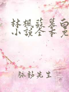 林枫苏慕白穿越小说全本免费下载