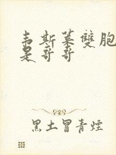 韦斯莱双胞胎谁是哥哥