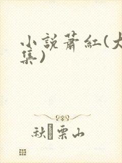 小说萧红(大全集)