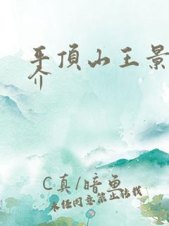 平顶山王景育简介