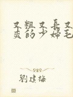 又粗又长又硬又爽的少妇毛片