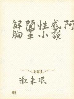 解开性感阿姨的胸罩小说