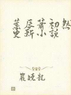 叶辰萧初然最快更新小说