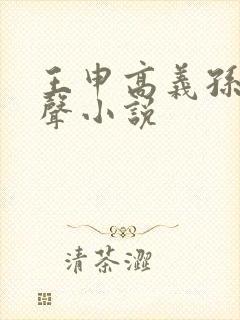 王申高义孙倩有声小说