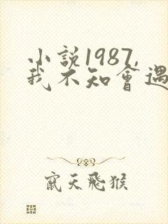 小说1987,我不知会遇见你免费