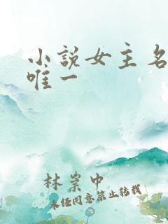 小说女主名叫顾唯一