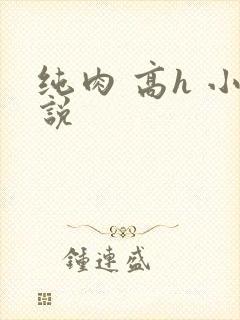 纯肉 高h 小说