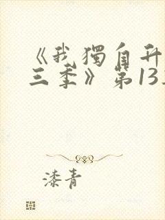 《我独自升级第三季》第13集全集在线