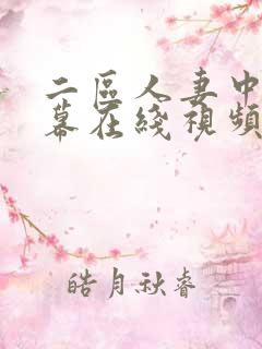 二区人妻中文字幕在线视频