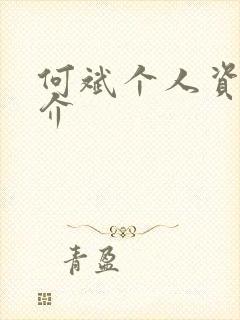 何斌个人资料简介