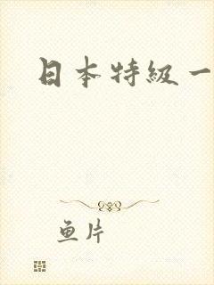 日本特级一级片