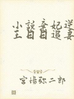 小说弃妃逆袭邪王日日追妻忙全篇