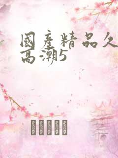 国产精品久久久高潮5