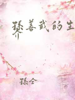 孙善武的生平简介