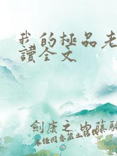 我的极品老婆阅读全文