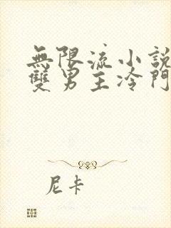 无限流小说推荐双男主冷门