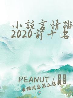 小说言情排行榜2020前十名