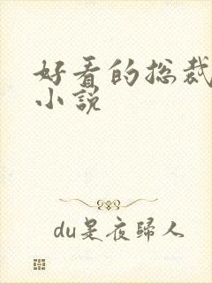 好看的总裁言情小说