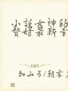 小说女神的超级赘婿最新章节列表最