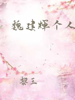 魏建辉个人简介