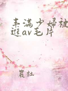 丰满少妇被猛烈进av毛片