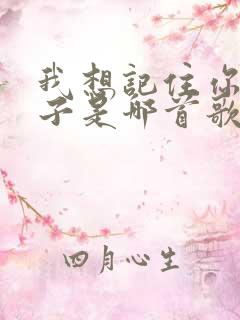 我想记住你的样子是哪首歌的歌词