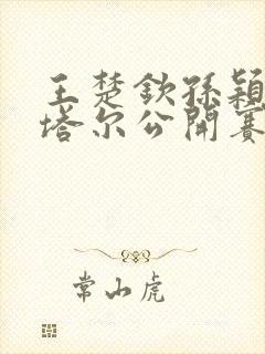 王楚钦孙颖莎卡塔尔公开赛